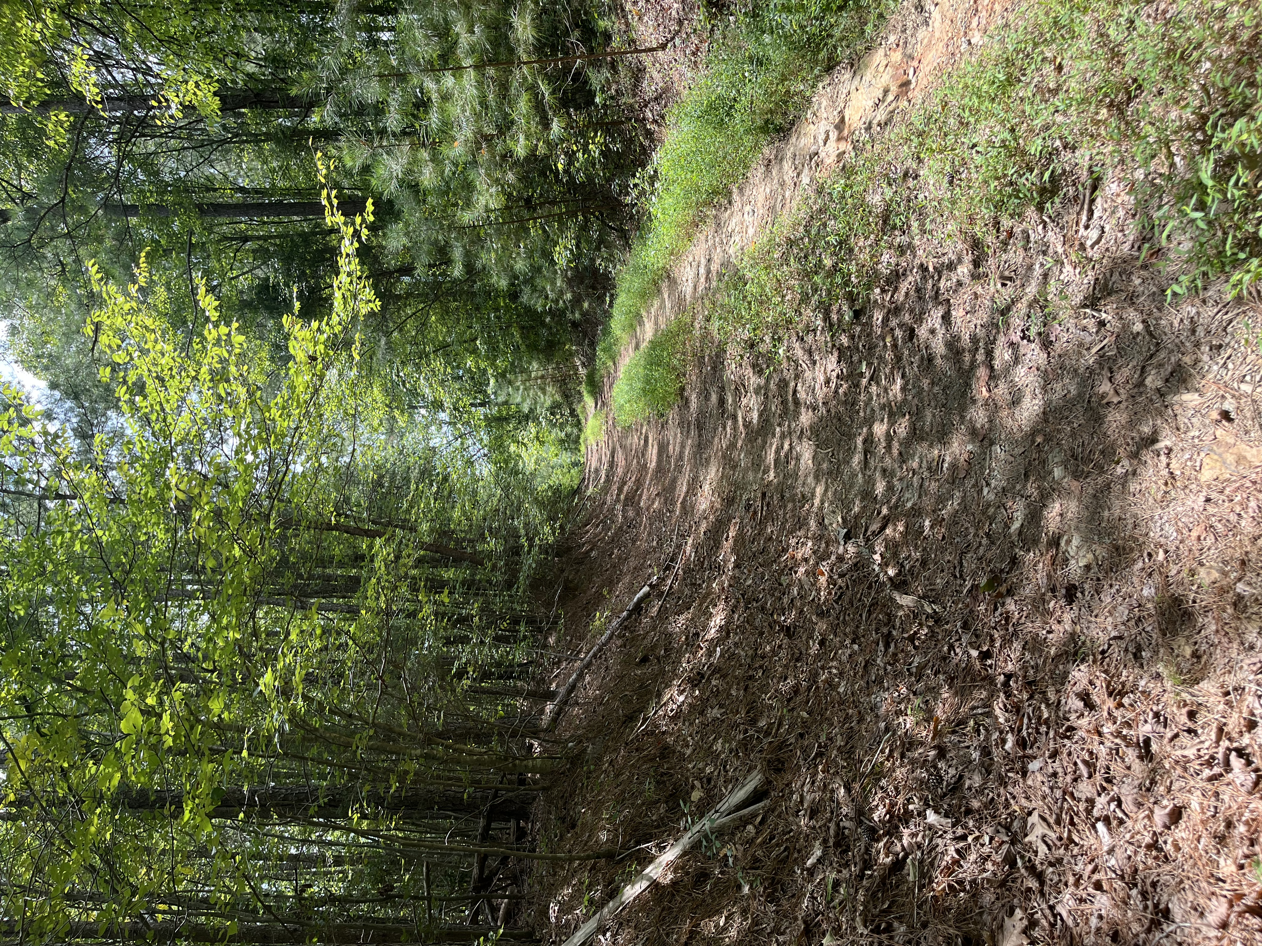 0 | Photo 23